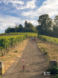 2025-07-05 Heuchelbergtrail - IMG_9160